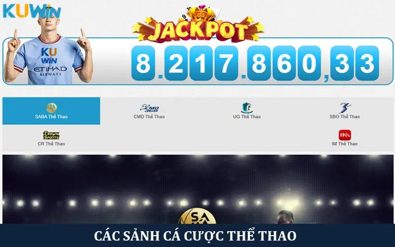 Sân chơi cá cược thể thao với nhiều bộ môn đa dạng