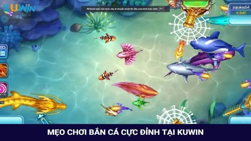 Tìm hiểu các mẹo chơi bắn cá đỉnh cao tại Kuwin